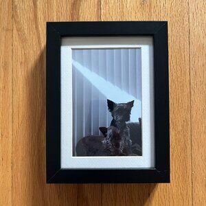 One of a kind Yorkie Home Accent